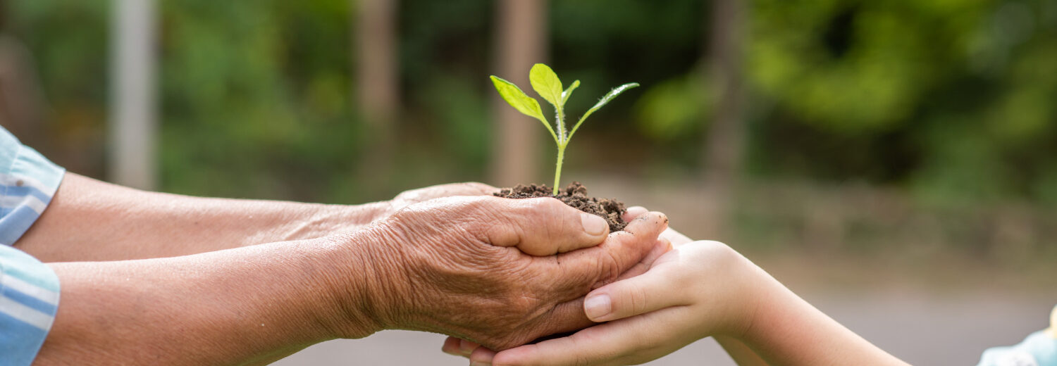 Licenciamento Ambiental