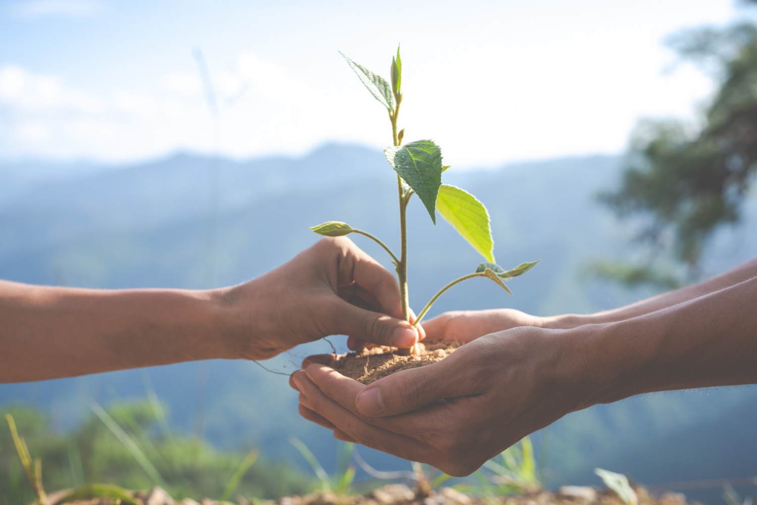 Licenciamento Ambiental Licenciamento Ambiental