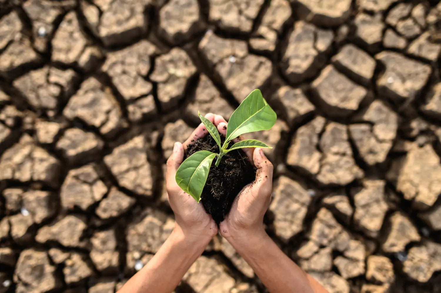 O risco ambiental revelado áreas degradadas exigem identificação precisa e ações corretivas que partem de um mapeamento técnico e ético.
