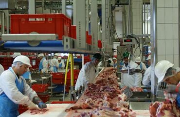 Consultoria NR 36 A Consultoria NR 36 tem o objetivo de apontar as irregularidades perante a Norma, e sugerir ações de correção para adequação através de relatório de serviços sem validade jurídica.