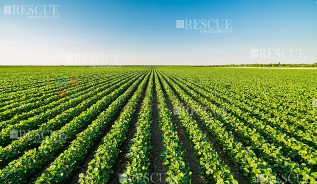 3101 - Treinamento Para os Membros da CIPATR