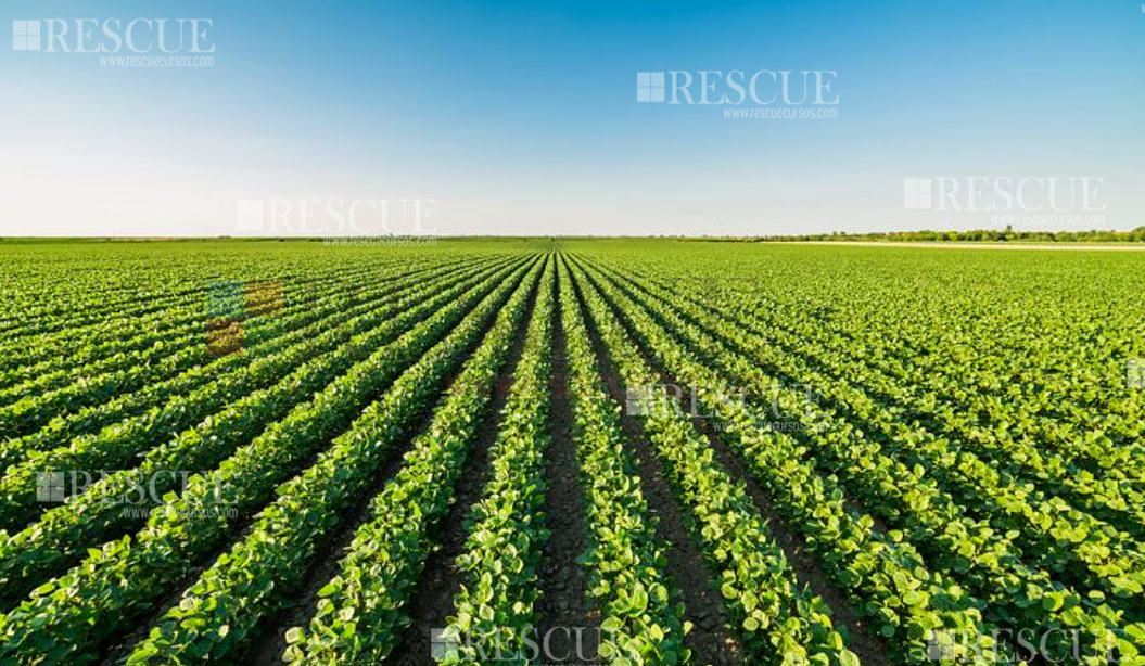 3101 - Treinamento Para os Membros da CIPATR