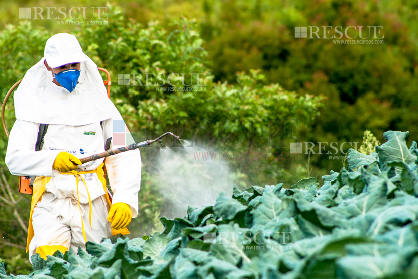 3104 - Treinamento Para Empregados Que Manuseiam Agrotóxicos