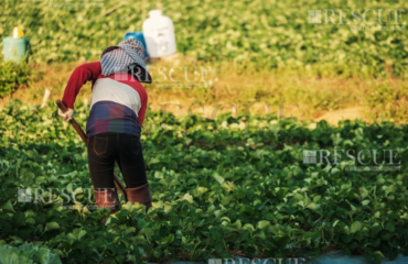 3107 – Treinamento De Reciclagem Do Trabalhador Rural 3107 - Treinamento De Reciclagem Do Trabalhador Rural
