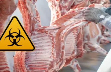 Treinamento Agente Biológico NR 36 Treinamento Agente Biológico NR 36