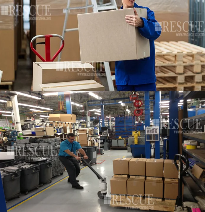 Curso NR-17 Levantamento, Transporte e Descarga de Materiais