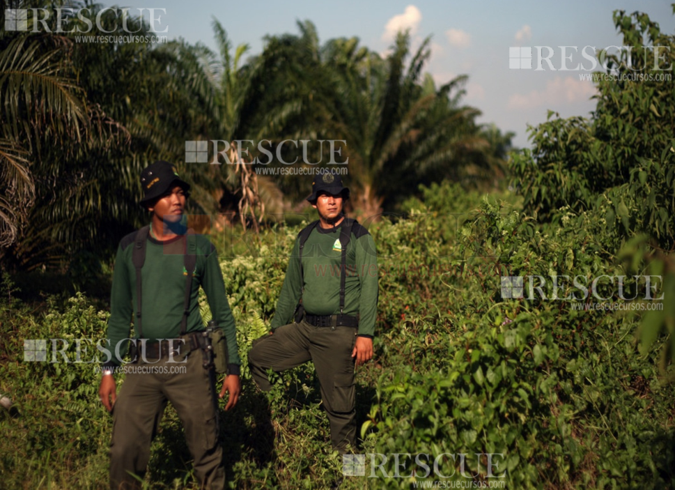 Curso Perícia Ambiental