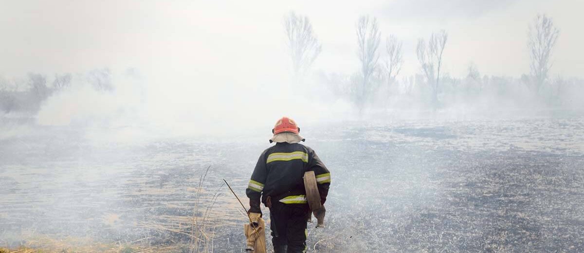 NFPA 1977 – Incêndio Florestal