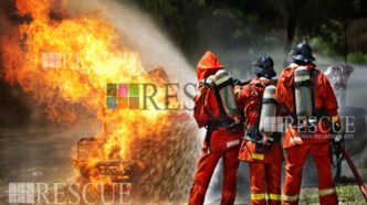 Curso Arborização Urbana