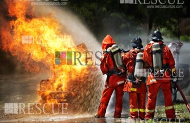 Curso Arborização Urbana Curso Arborização Urbana