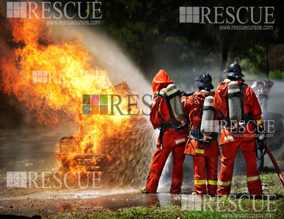 Curso Arborização Urbana