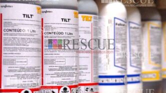 3102 - Treinamento Sobre Prevenção De Acidentes Com Agrotóxicos