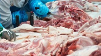Curso Operações em Frigoríficos