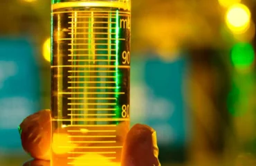 Diálise do Diesel O que é Diálise do Diesel?