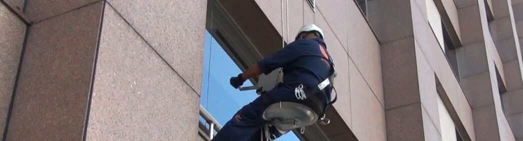 Laudo de Cadeira Suspensa