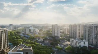 Curso Arborização