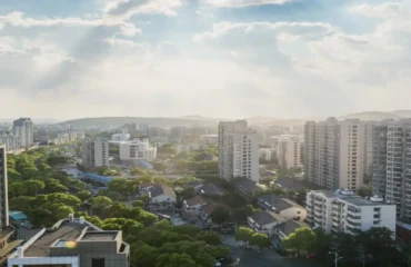 Curso Arborização Curso Arborização