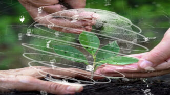Curso PPRA e Brigada Ambiental
