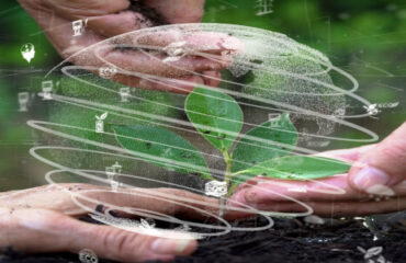 Curso PPRA e Brigada Ambiental Curso PPRA e Brigada Ambiental