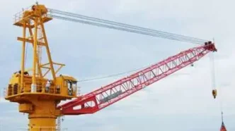 Curso Guindastes Pedestal Offshore