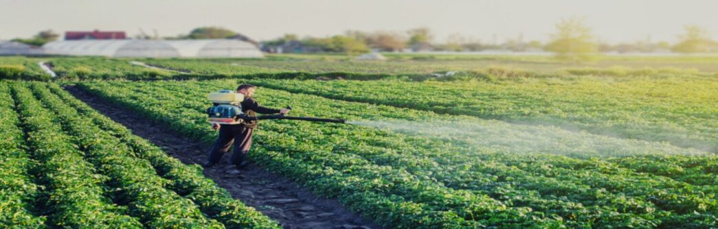 Curso Defensivos Agrícolas NR 31