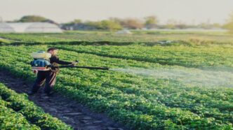 Curso Defensivos Agrícolas NR 31