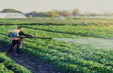 Curso Defensivos Agrícolas NR 31 Curso Defensivos Agrícolas NR 31
