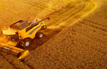 Curso de Máquinas e Implementos Agrícolas NR-11 e NR-12 Curso de Máquinas e Implementos Agrícolas NR-11 e NR-12