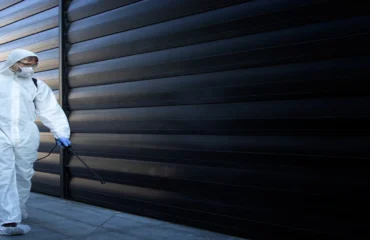 Curso Desinsetização e Desratização Curso Desinsetização e Desratização