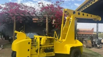 Guincho canarinho em configuração padrão de remoção.