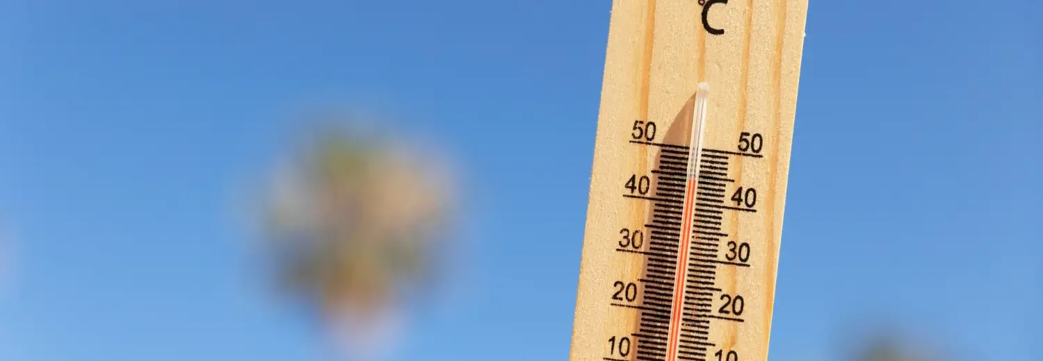Laudo Exposição Calor IBUTG