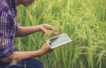 curso interpretação e aplicação da nr 31 curso interpretação e aplicação da nr 31