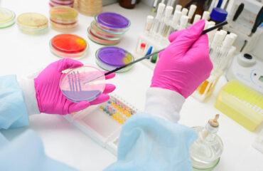 Curso NR 32 Riscos Biológicos Curso NR 32 Riscos Biológicos