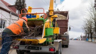 Curso Operador de Triturador de Galhos NR 12