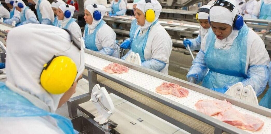 PROGRAMA DE CONSERVAÇÃO AUDITIVA (PCA