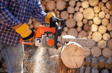 Laudo Motosserra Laudo Motosserra