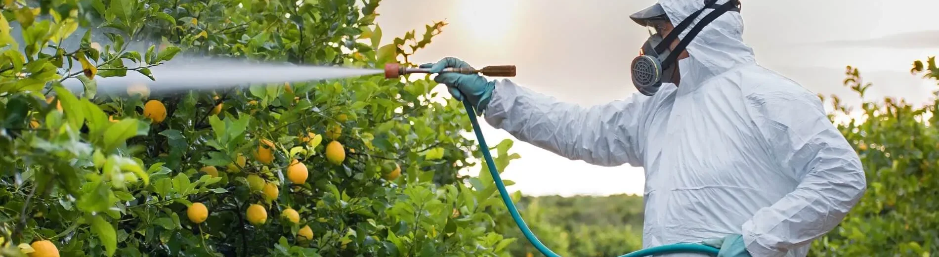 3109 – Treinamento para Conservação, Manutenção, Limpeza e Utilização de Equipamentos de Aplicação de Agrotóxicos