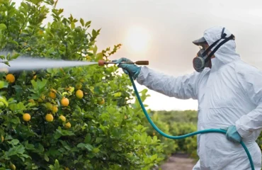 3109 – Treinamento para Conservação, Manutenção, Limpeza e Utilização de Equipamentos de Aplicação de Agrotóxicos 3109 – Treinamento para Conservação, Manutenção, Limpeza e Utilização de Equipamentos de Aplicação de Agrotóxicos