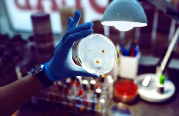 Laudo Microbiologia Alimentos para Consumo Humano e Animal Laudo Microbiologia Alimentos para Consumo Humano e Animal