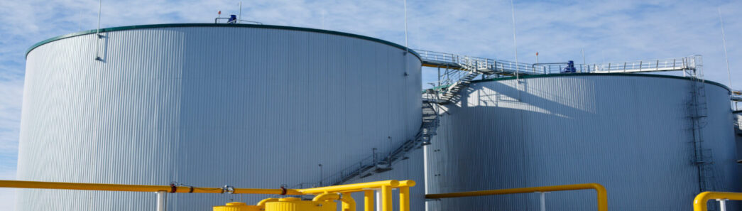 Curso Elaboração de Projeto de Biogas