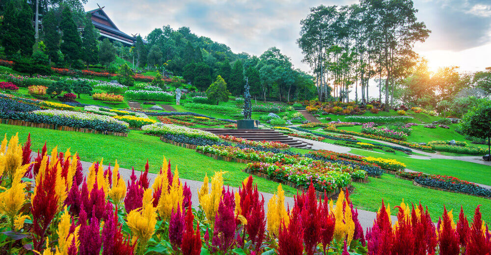 Curso Manutenção de Paisagismo