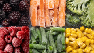 Plano Higienização Alimentos ANVISA