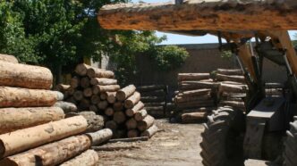 CURSO TRATOR HARVESTER