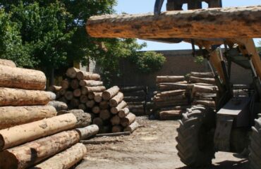 CURSO TRATOR HARVESTER