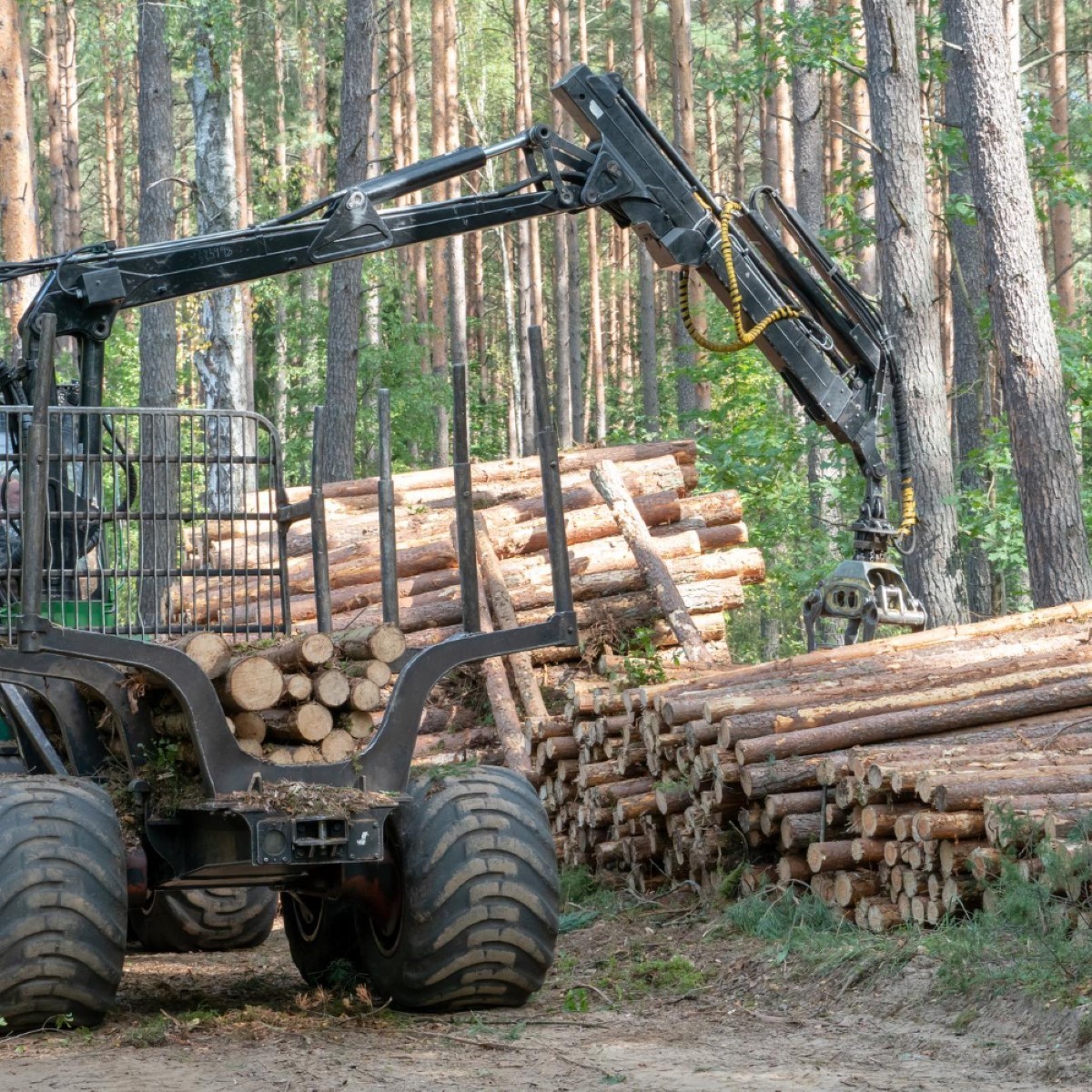 Carga bem posicionada evita instabilidade do equipamento