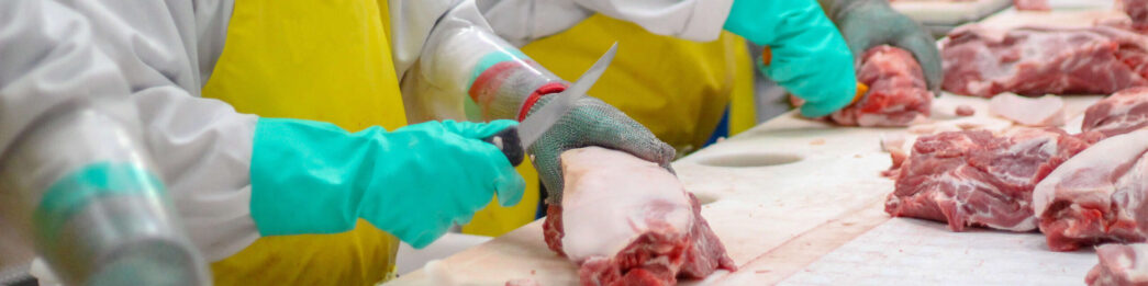 3605Treinamento Abate Processamento Carnes