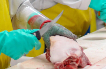 3605Treinamento Abate Processamento Carnes 3605Treinamento Abate Processamento Carnes