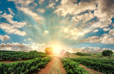 Curso Avaliação de bens – Imóveis Rurais NBR 14653-3 Curso Avaliação de bens – Imóveis Rurais NBR 14653-3