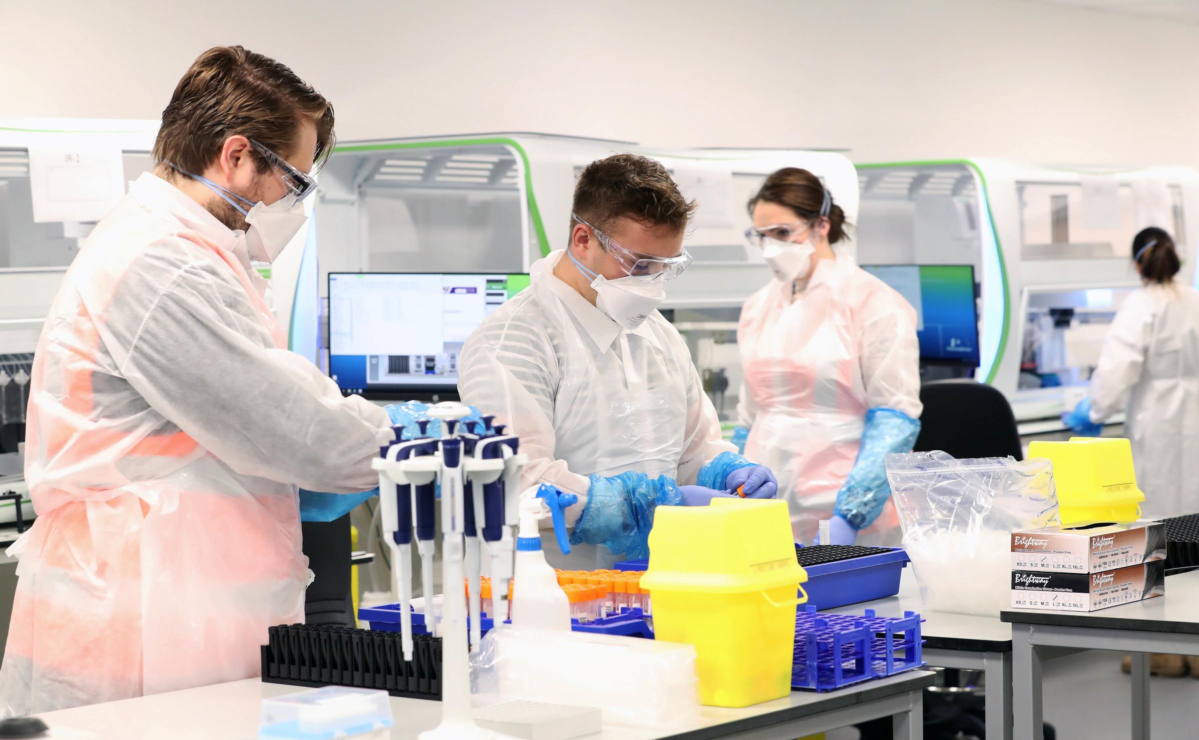 Laudo das Condições Sanitárias