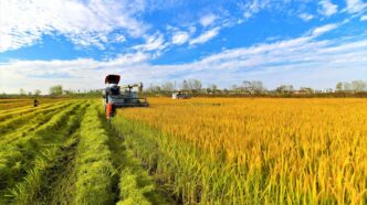 Curso NR 31 CIPATR - Comissão Interna de Prevenção de Acidentes do Trabalho Rural